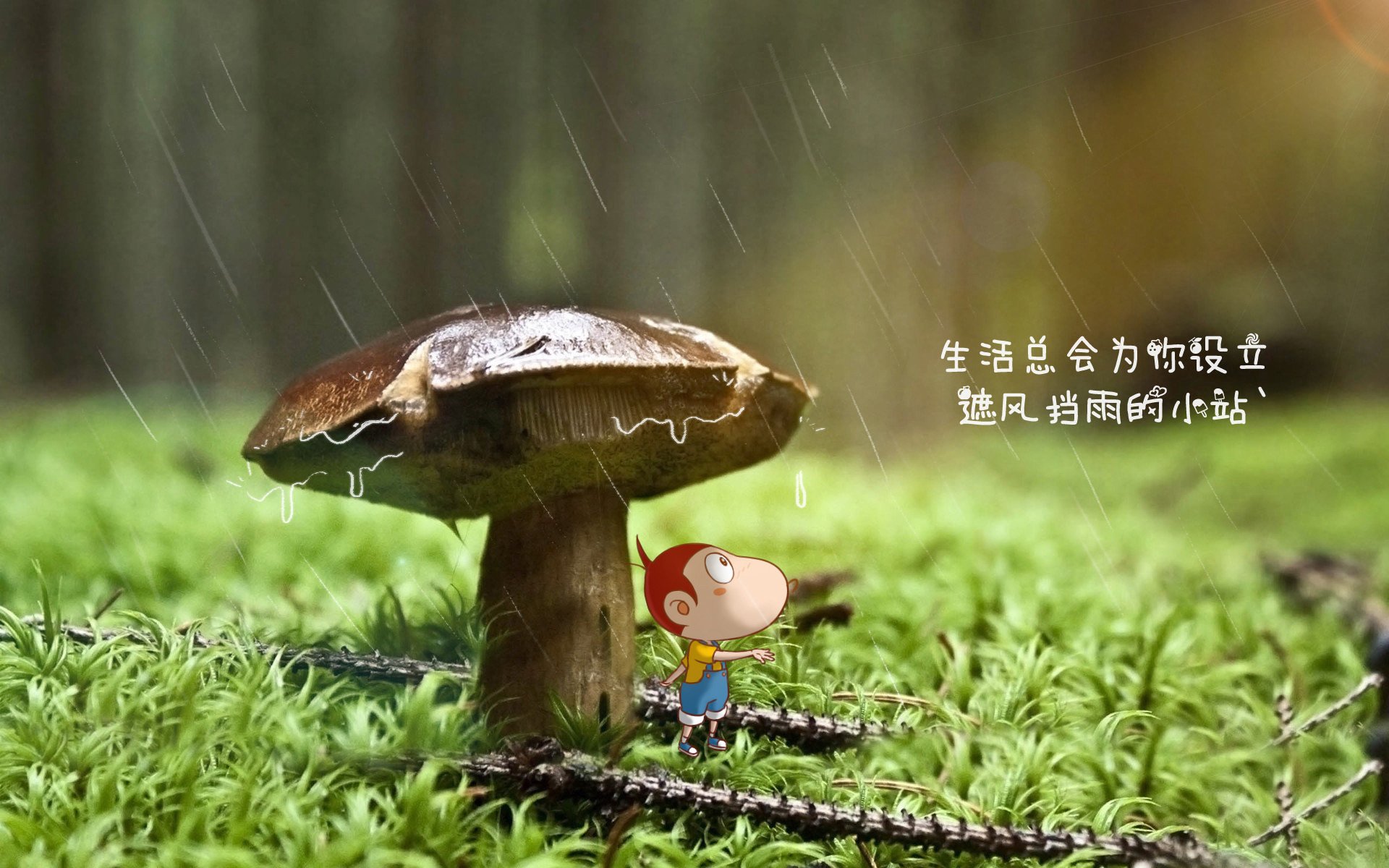 Dota 2 国际赛场中国队表现抢眼,dota 2 国际赛场中国队表现抢眼的选手