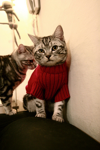 中国篮球裁判员“天赋选拔”计划启动,中国篮球职业裁判员