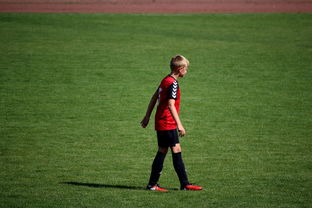 爱游戏app-未来足球场馆将融合智能照明和环境监测系统，绿色科技引领行业